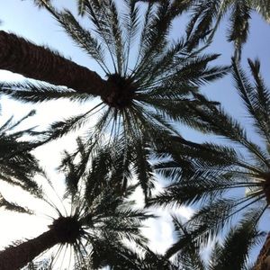 Meet your Posher, Carey